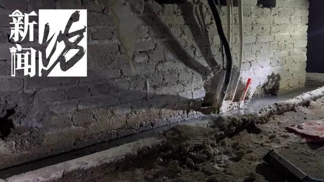 香水喷喷就没了？上海阿姨把自家房子给猫住！楼道里一股味道邻居崩溃(图9)
