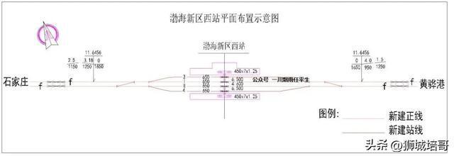 占地43亩！沧州一新高铁站征地！(图4)