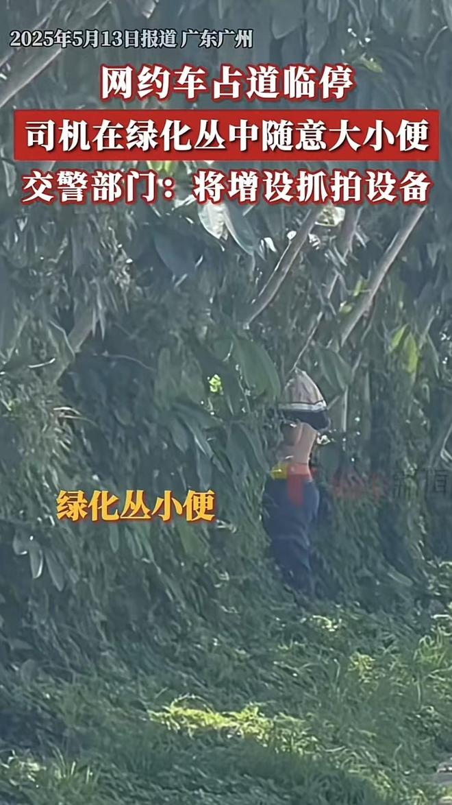 广州大量网约车占道临停司机跑绿化带随地大小便(图1)