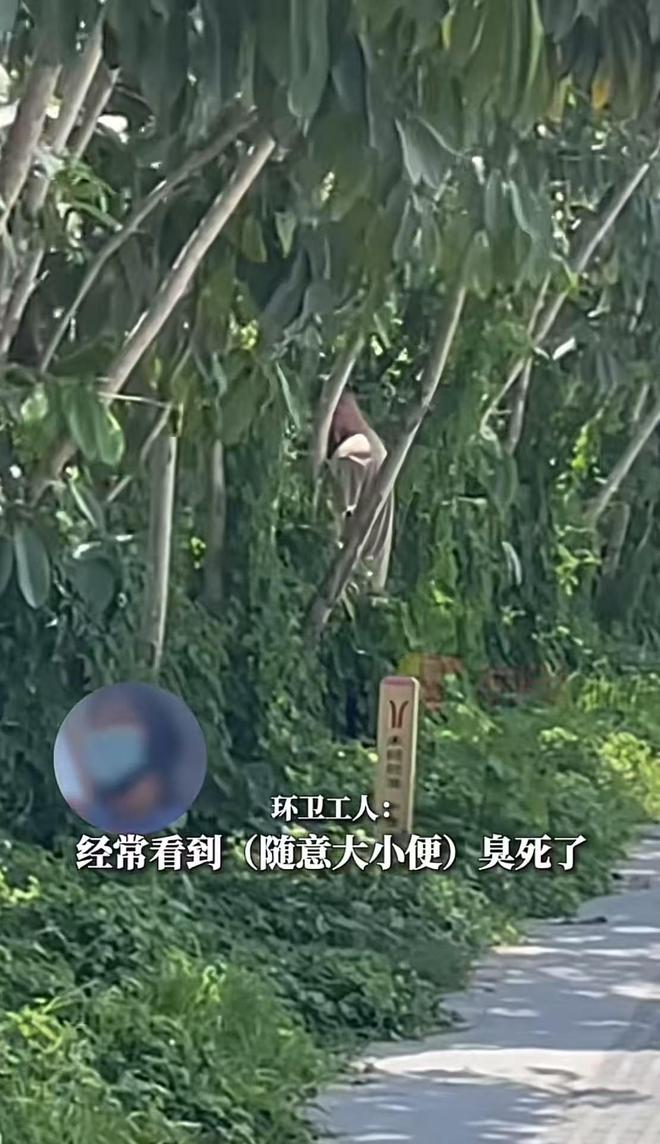 广州大量网约车占道临停司机跑绿化带随地大小便(图2)