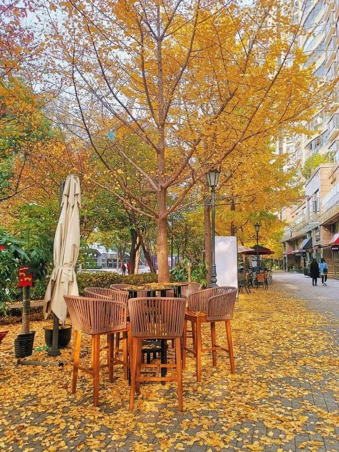 【】今日聚焦古北99售楼处发布：闵行古北99生活新篇章！(图15)