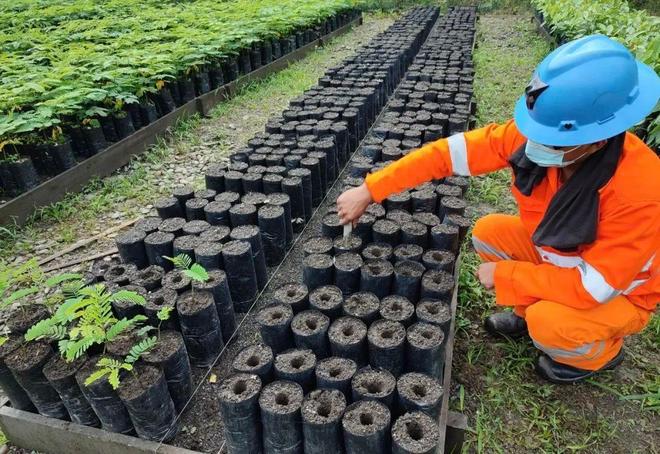 秘鲁圣加旺III水电站投产发电(图4)