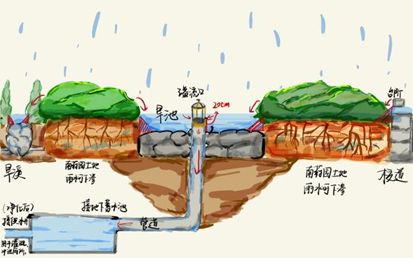 “海绵城市”理论下的校园排水改造行动2024年中日韩环境教育合作项目中方案例展示（三）(图4)