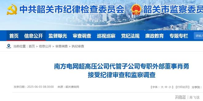 企观察：南方电网代管子公司肖勇被查他这个国企高管这样倒下了(图2)