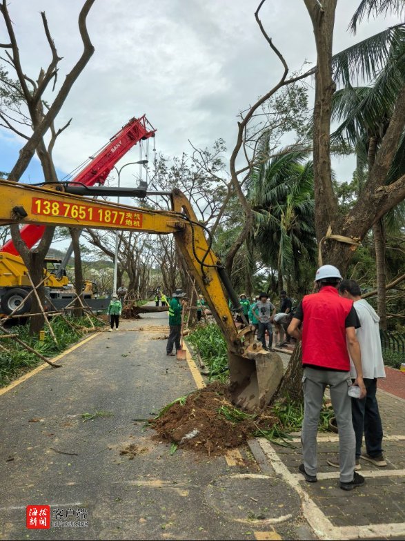 海南省住建厅党员突击队跨市县支援三亚园林绿化加速修复(图2)