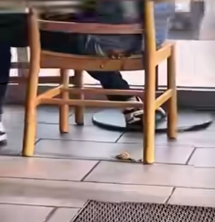 印度大哥在加拿大咖啡店“自由飞翔”网友：快给我洗洗眼(图1)