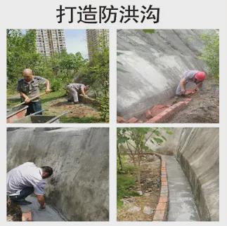 西城花园蜕变记|这七年我们把“住得安逸”写成了现实(图11)