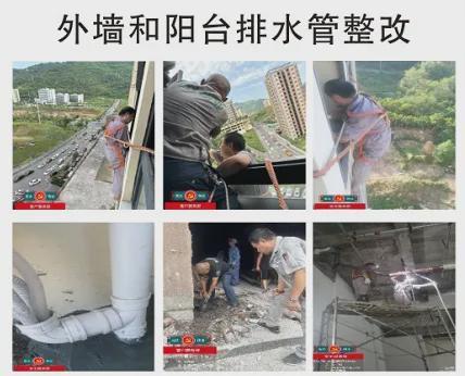 西城花园蜕变记|这七年我们把“住得安逸”写成了现实(图4)