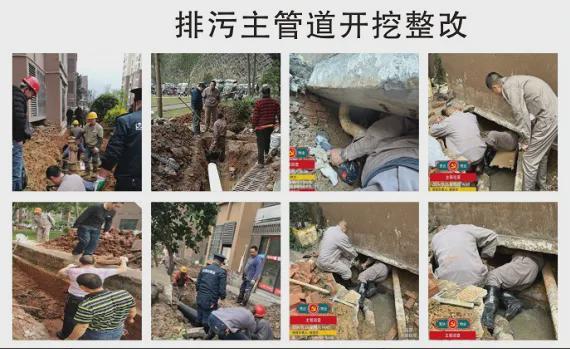 西城花园蜕变记|这七年我们把“住得安逸”写成了现实(图3)