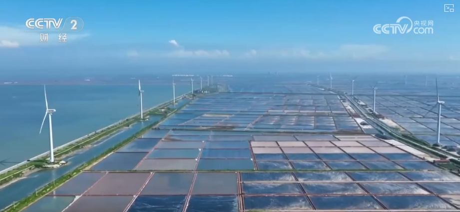 电力市场化改革迈出关键一步用户找“时间差”降成本企业拼“硬功夫”增收益(图6)