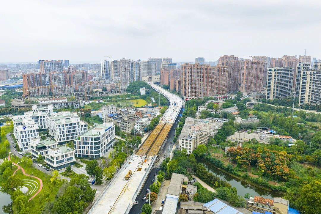 磁湖畔、大道旁有人拍下这些火热画面……(图4)