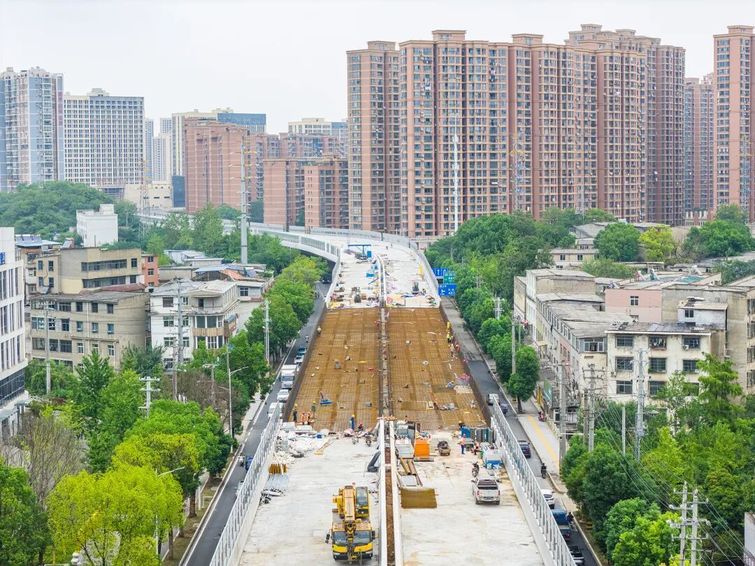 磁湖畔、大道旁有人拍下这些火热画面……(图6)