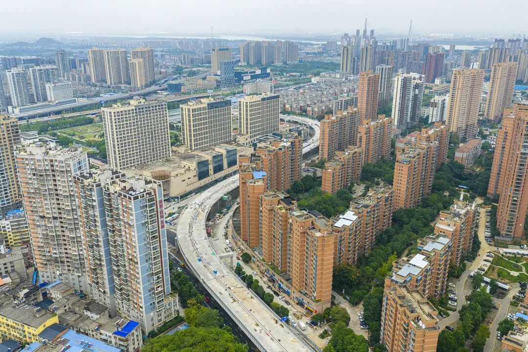 磁湖畔、大道旁有人拍下这些火热画面……(图5)