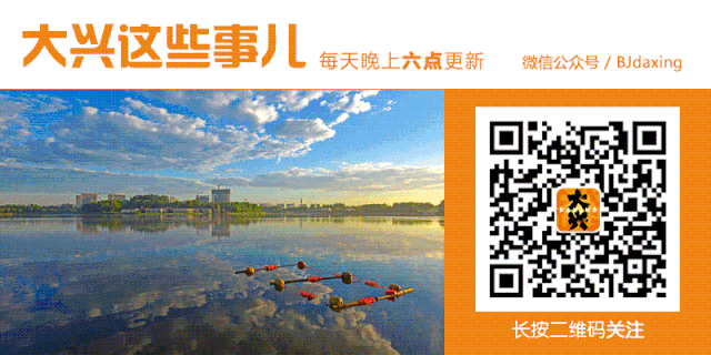 工期12个月！大兴这条南延道路又有新消息(图5)