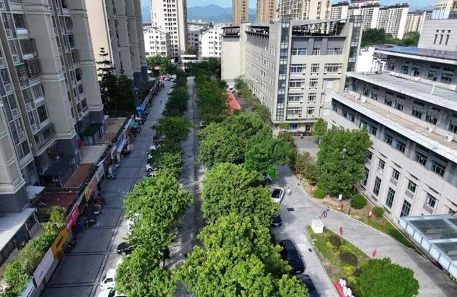 民生大事！仙游这个片区大变样！(图1)