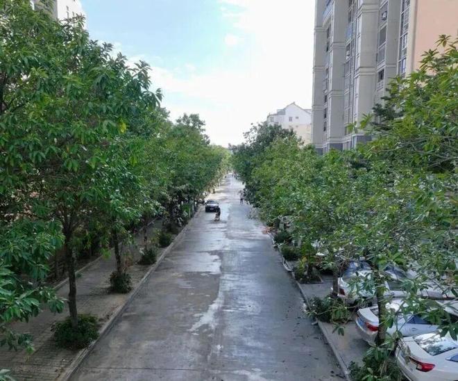 民生大事！仙游这个片区大变样！(图3)