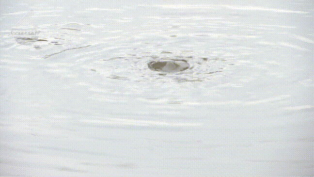 家门口污水横流十多天？居民每天蹚污水出入问题出在隔壁工地？(图2)