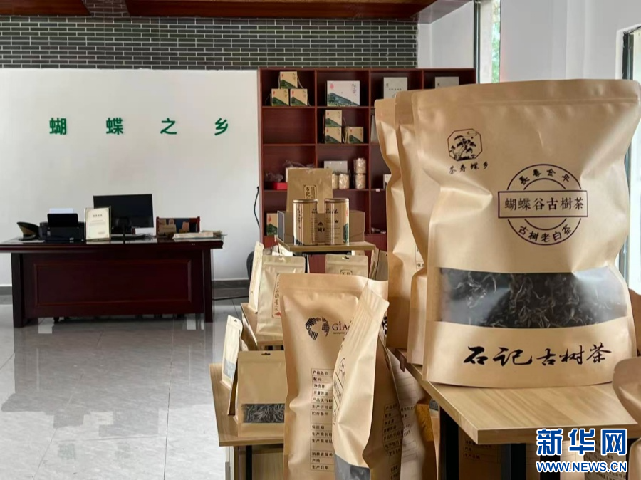 千里边疆国旗飘｜边关美、边民富、边防固云南边疆开满民族团结进步花(图6)