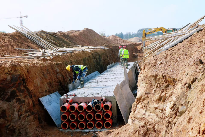 青岛西海岸新区：董家口双基建齐发力“满格”赋能产业发展(图1)