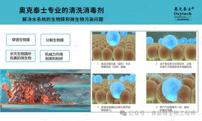 解析食品饮料生产中的无菌水生物膜问题:危害与车间管道解决方案(图3)