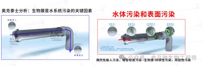 解析食品饮料生产中的无菌水生物膜问题:危害与车间管道解决方案(图2)