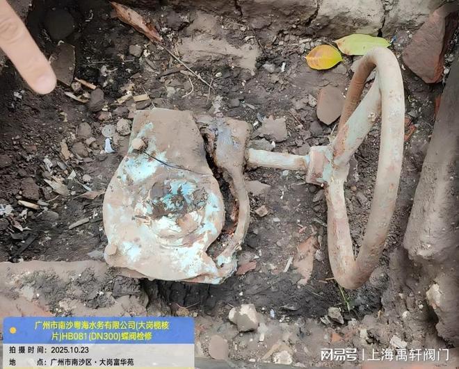 粤海水务DN300法兰蝶阀蜗轮故障：上海禹轩定制蜗轮头快速焕新(图2)