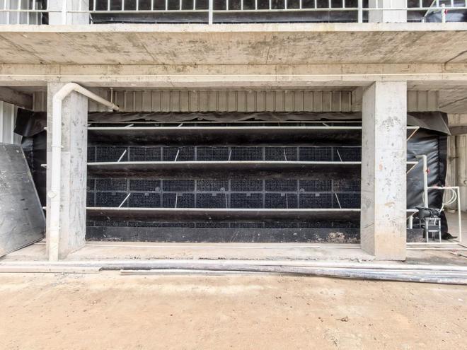 探访四川安岳无人养猪新模式(图2)