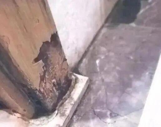 太糟心！上海男子旅游回来发现家里被污水淹没！损失超20万！起诉却发现开发商已注销…(图3)