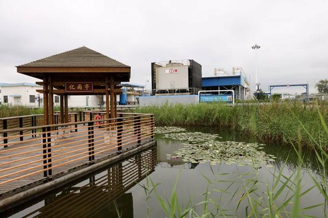 扬州化工园区“三招”齐出绘就沿江绿色发展新画卷(图1)