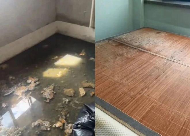 温州一豪宅业主吐槽！10多年没住过！如今却成这样(图2)