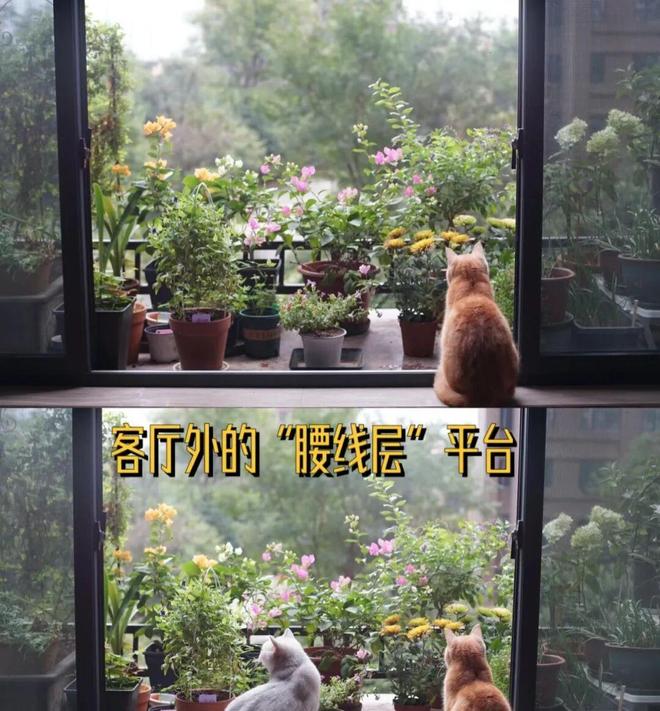 为啥说“穷不买二楼富不买十八楼”知情人说出实情很现实！(图9)