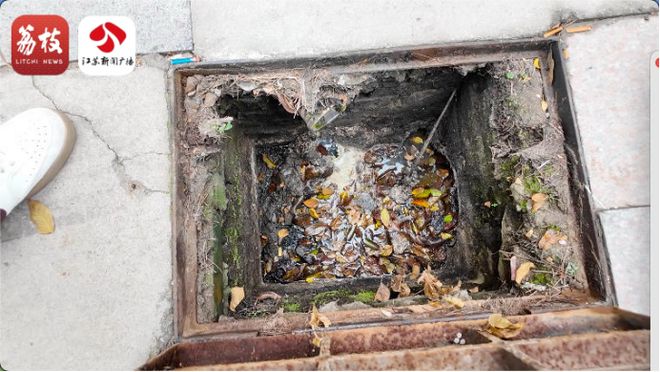 事发淮安一小区！多名业主崩溃反映现场流得到处都是(图1)