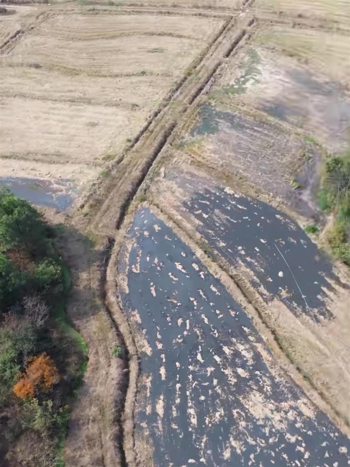 博主“渔猎齐哥”曝泰和县一河水发黑臭气熏天当地已封堵排污源头正开展清淤作业(图2)