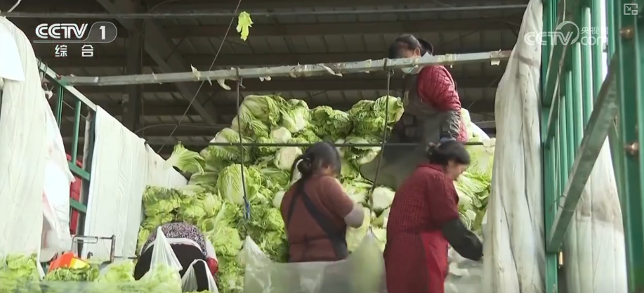 从“菜篮子”稳定到群众温暖过冬多部门积极应对全力保障百姓生产生活(图7)