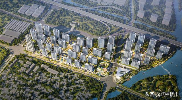 瑞安半程马拉松、快速路湿地段、地铁M线线南延等最新消息!(图1)