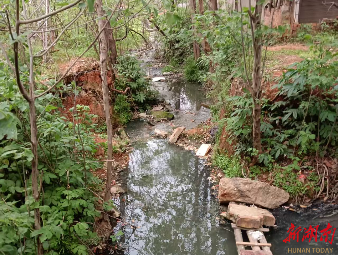 一条污水沟的蝶变映射全过程人民民主的泉交河实践(图1)