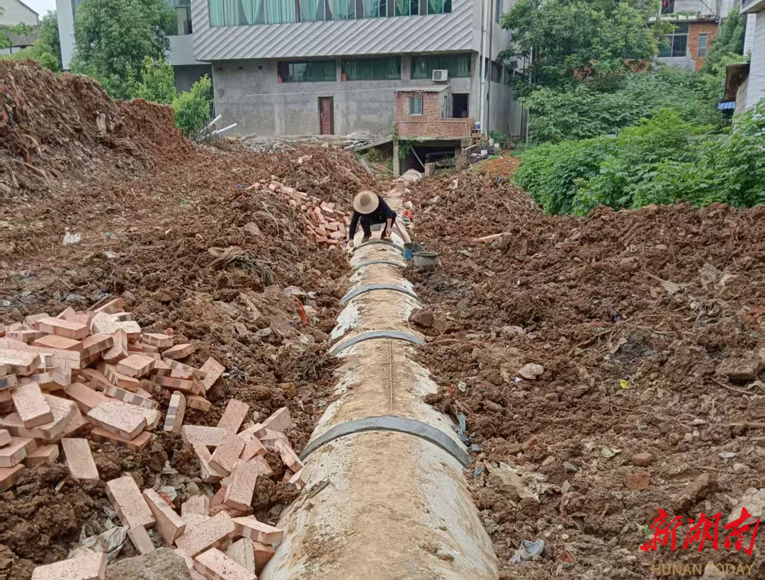 一条污水沟的蝶变映射全过程人民民主的泉交河实践(图2)