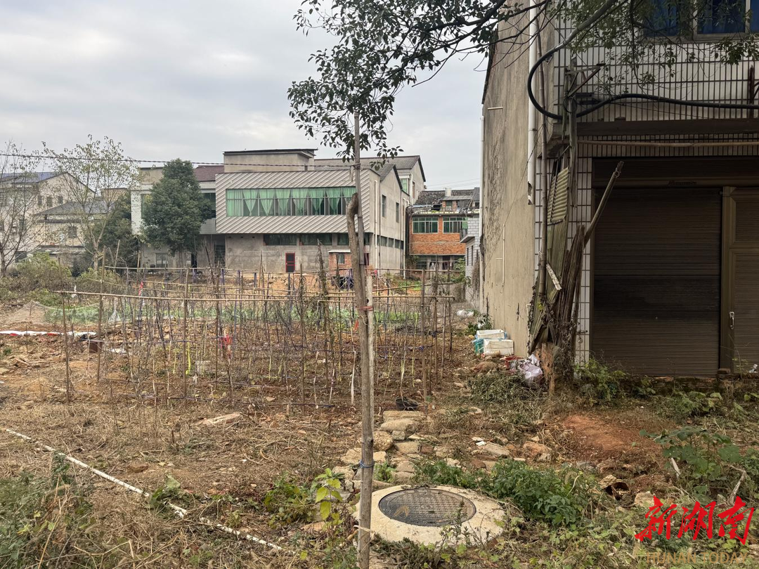 一条污水沟的蝶变映射全过程人民民主的泉交河实践(图3)