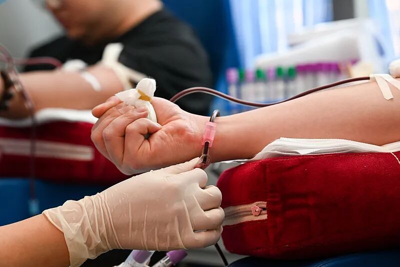 7点出发｜“院藏明代仇英画作现身拍卖市场”？南京博物院回应→(图1)