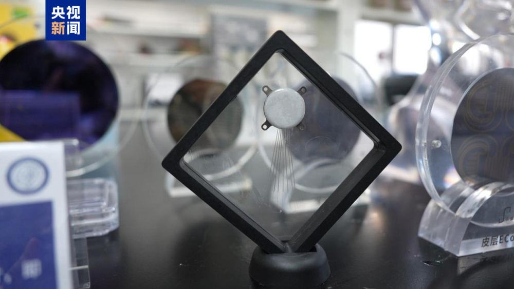 7点出发｜“院藏明代仇英画作现身拍卖市场”？南京博物院回应→(图6)