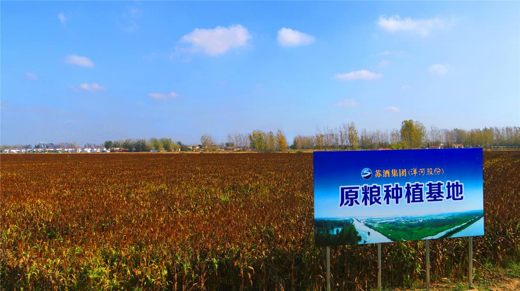 洋河股份：数智赋能绿色低碳转型打造可持续生态产业链(图9)