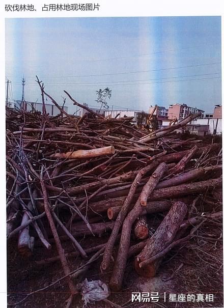 徐州违建侵占国有地判决生效仍运营(图2)