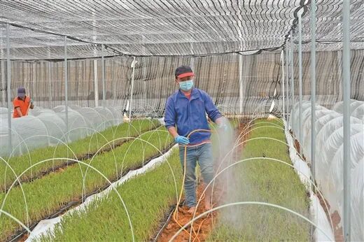 江州区县域经济“新”密码(图1)